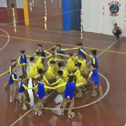 patins patins